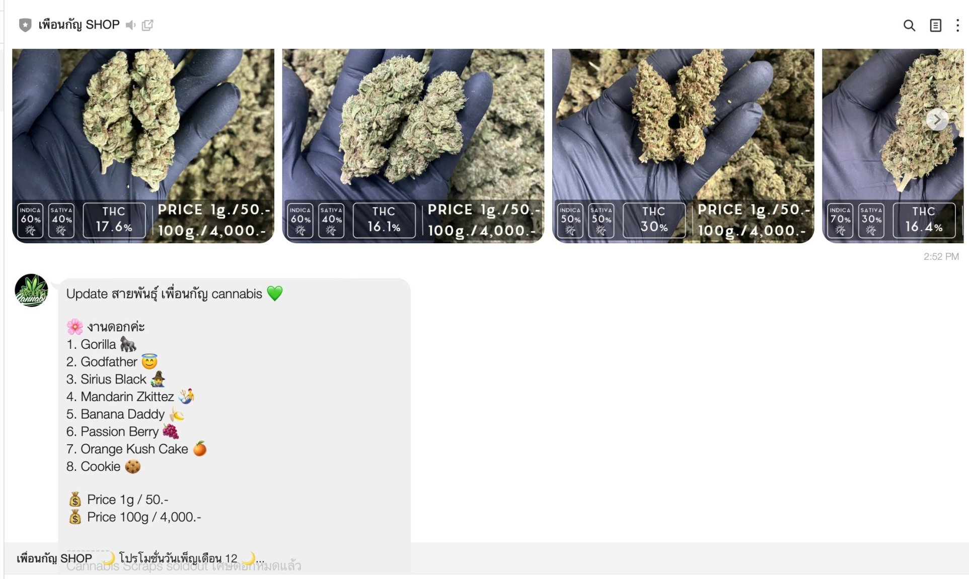 Screenshot 2023-11-24 at 2.54.45 pm.jpg