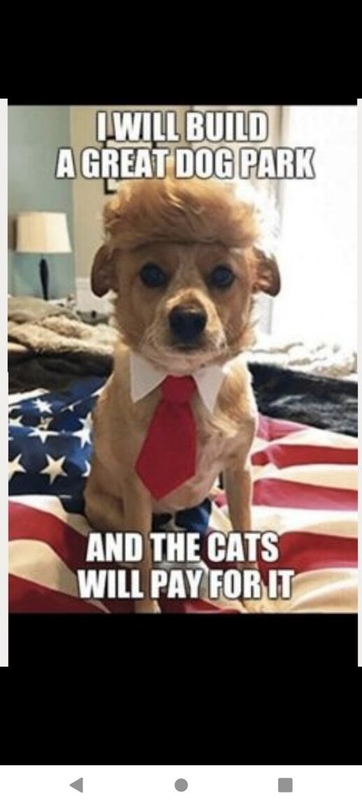 Could contain: 