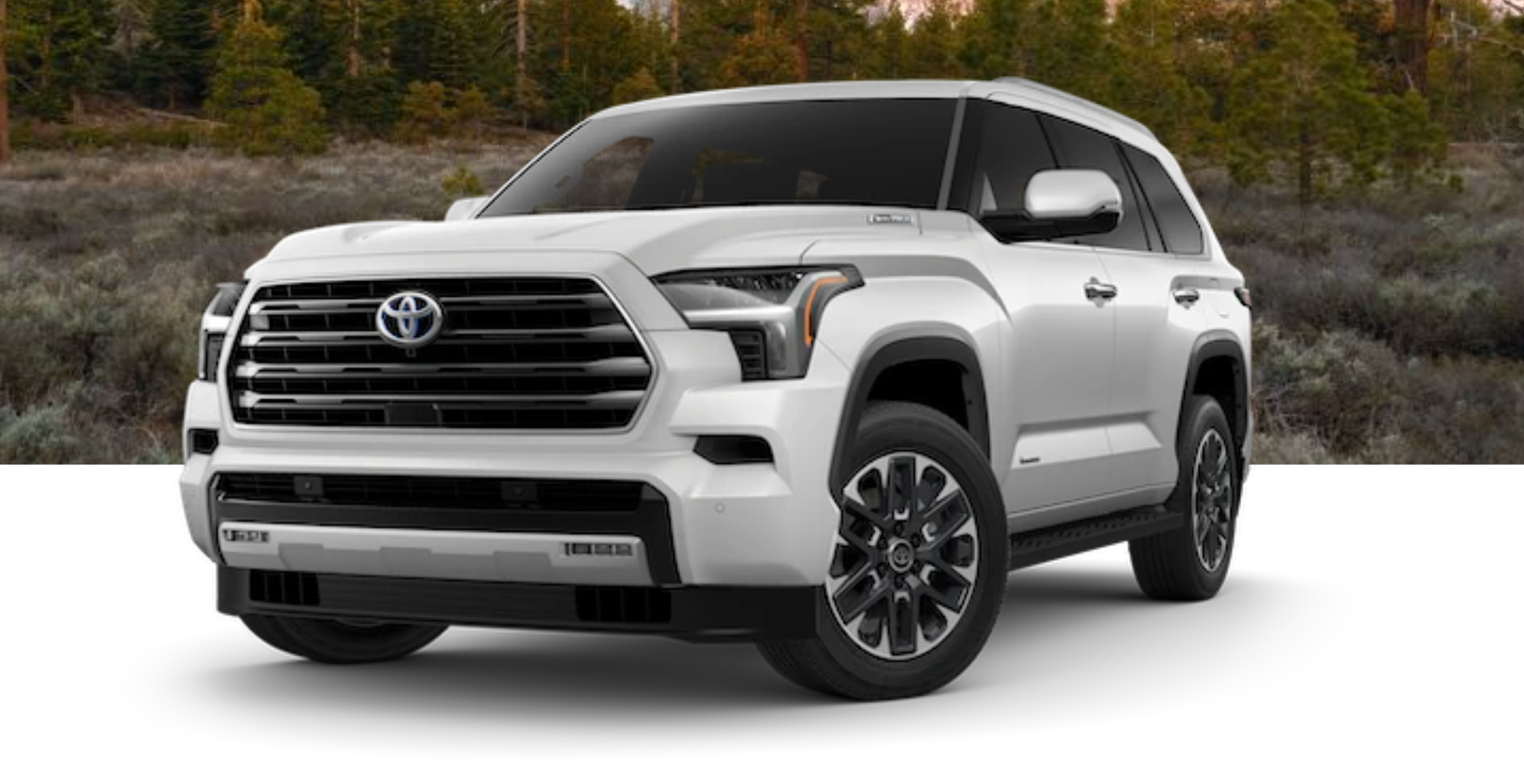 3rdGenFortuner.thumb.png.49683220a639d67580f51d057b15caad.png