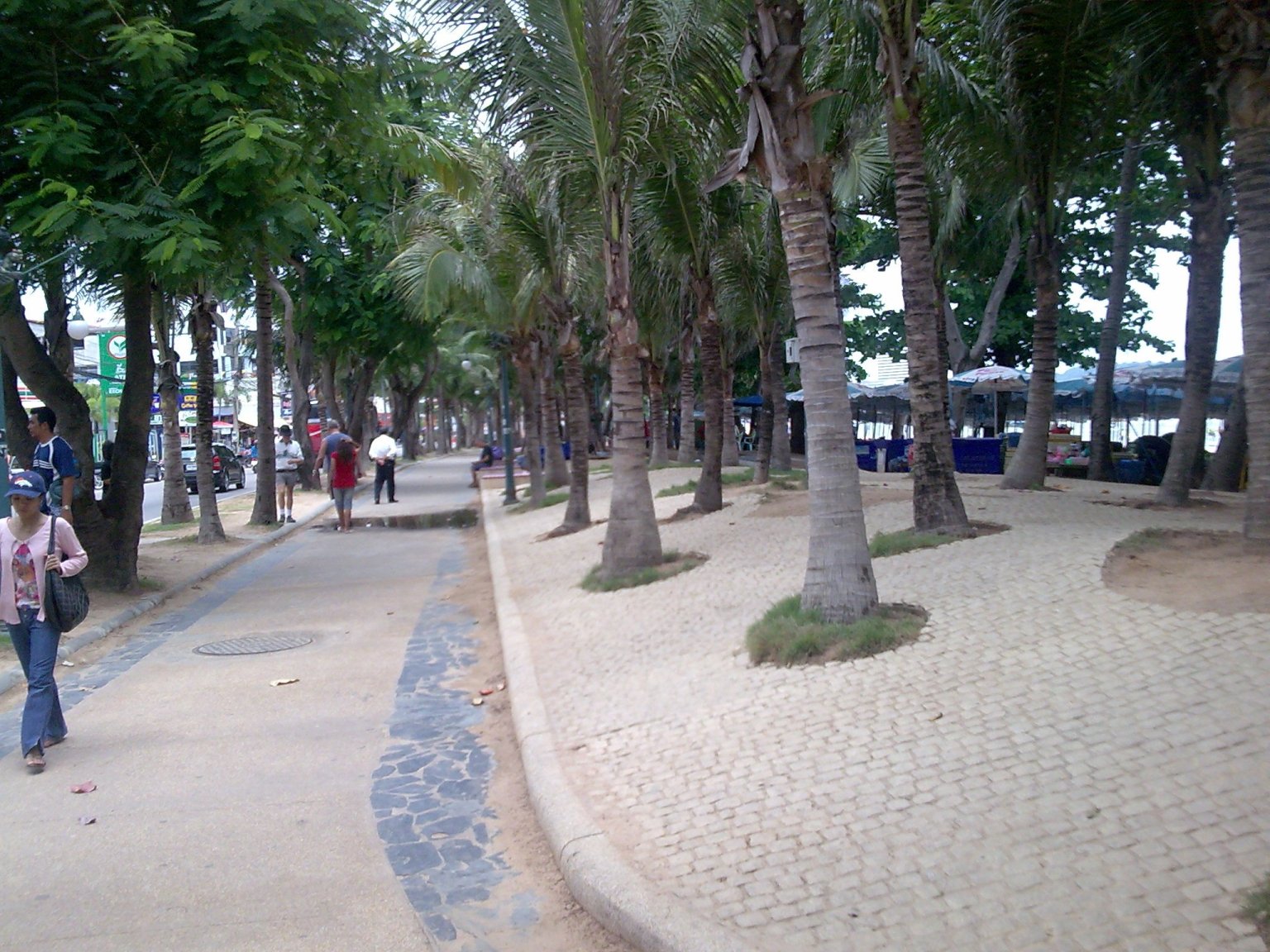 BeachWalk.thumb.jpg.fba4d2aff79cf426de00ec3282b3f2a3.jpg
