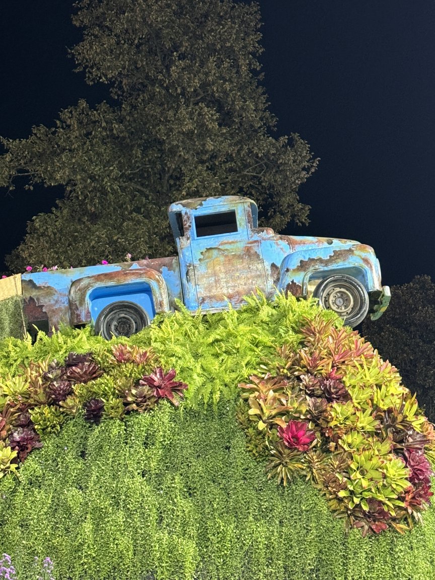 IMG_1414.jpeg