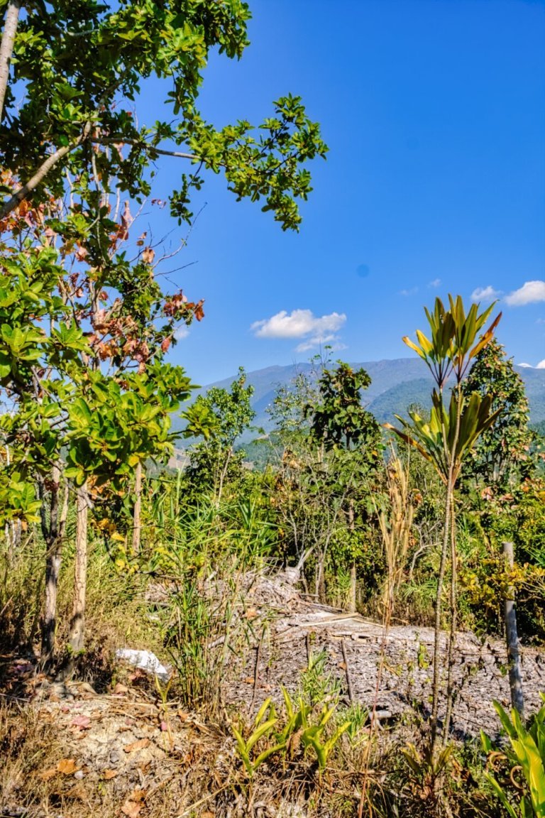 DSCF7435.jpg