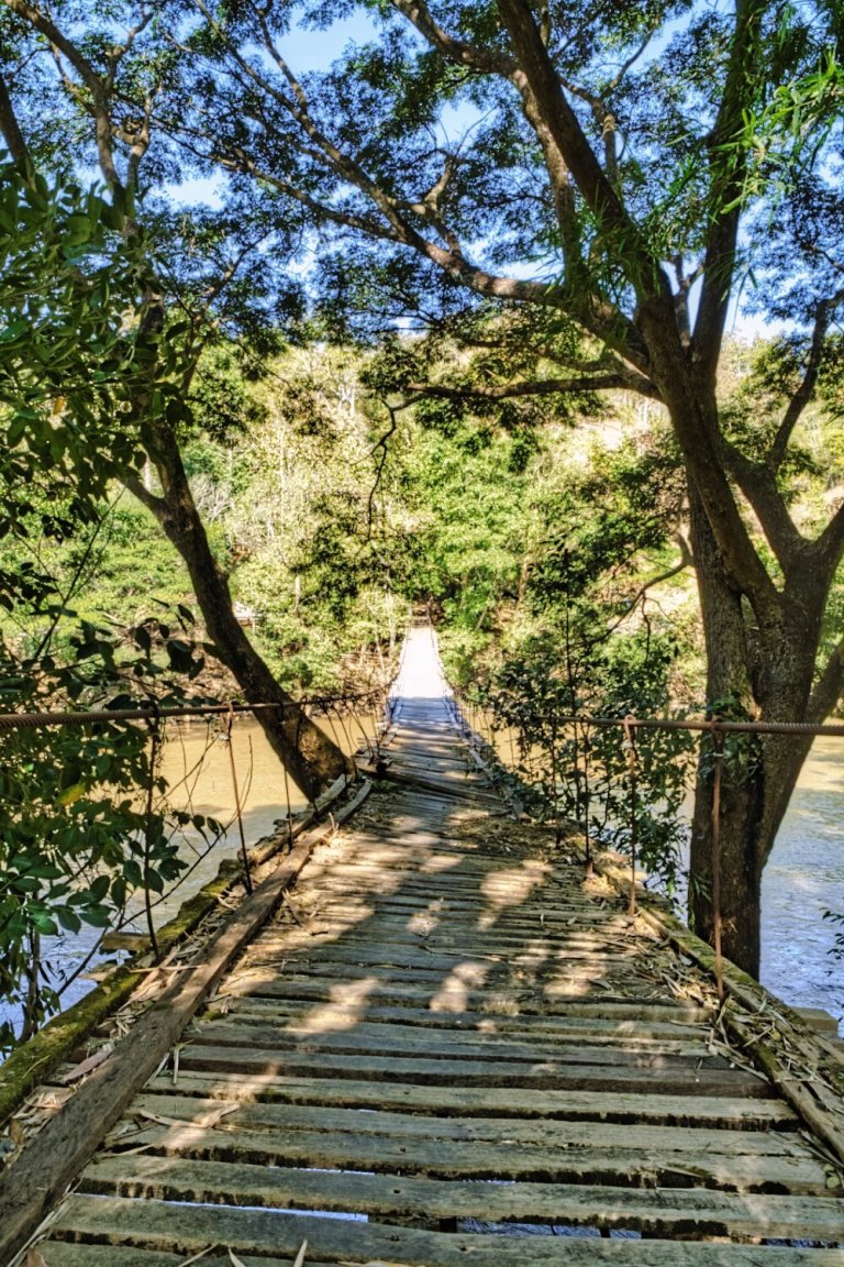 DSCF7453.jpg