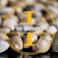 Irie Seeds