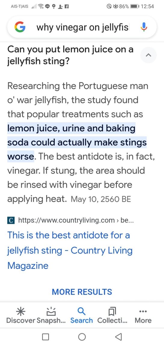 Screenshot_20240122-125402.jpg