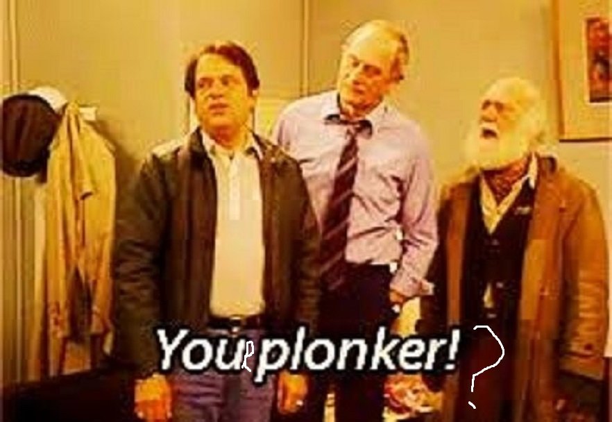 plonker2.jpg.727d1242ee44c1cd27f557219171ae76.jpg