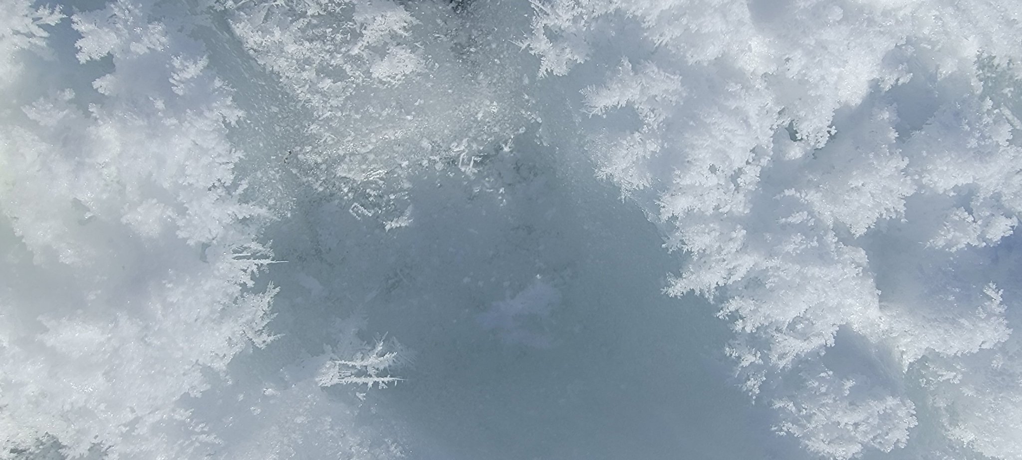 20240131_102944.jpg