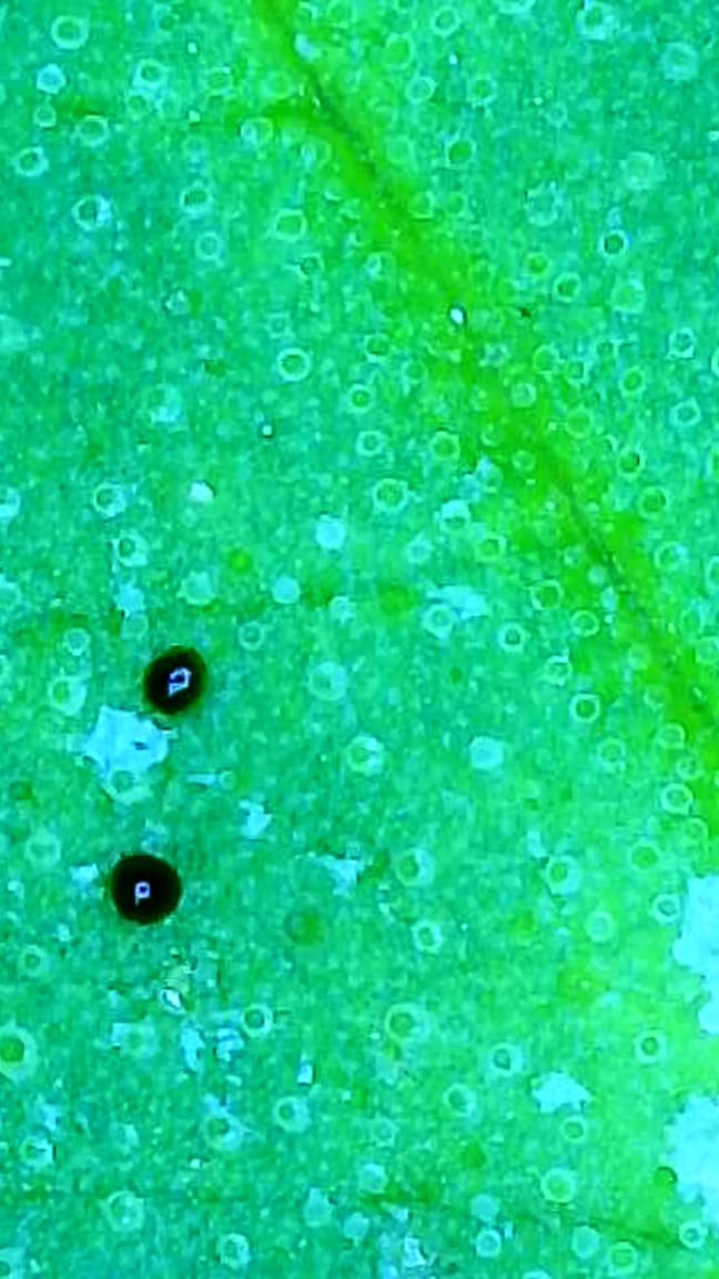 2024_02_15_18_03_22_185.png