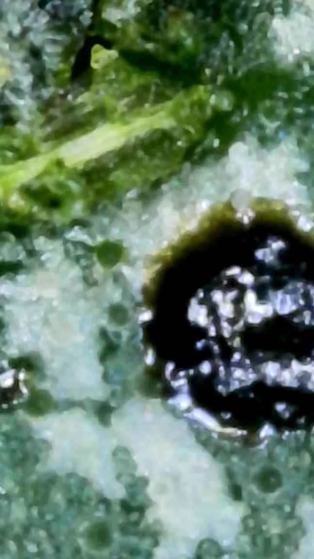 2024_02_20_20_04_06_086.png