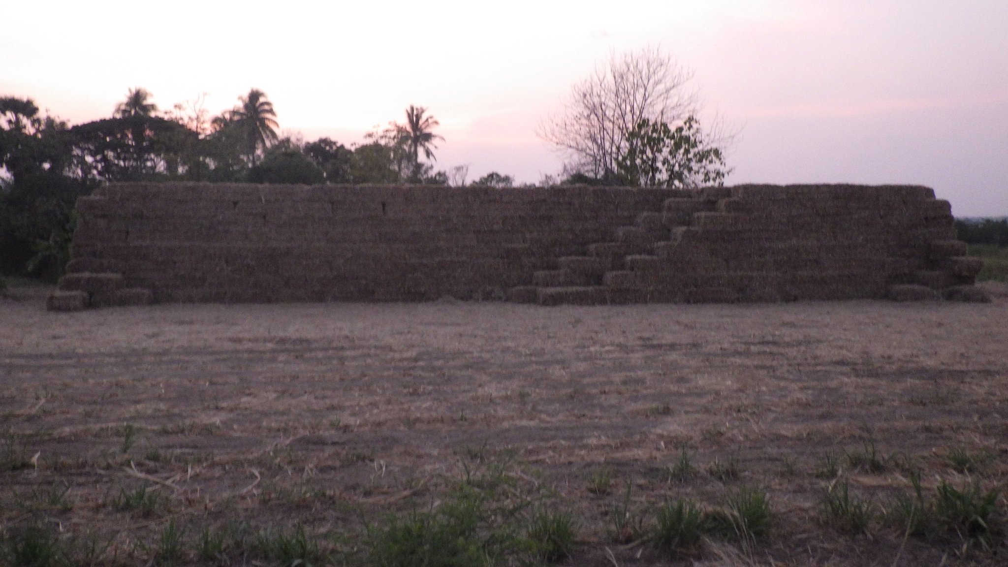 RIMG0036 - Copy (2).JPG