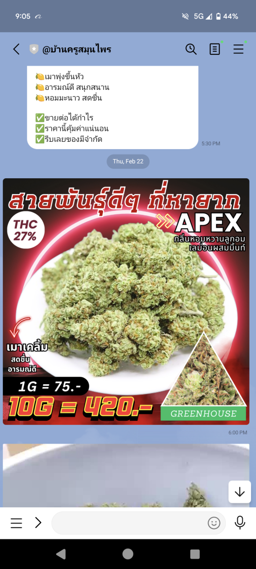 Screenshot_20240225-090552.png