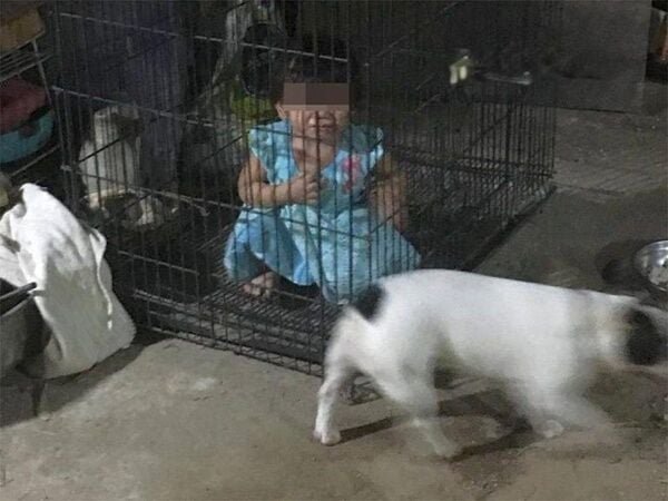image.jpeg