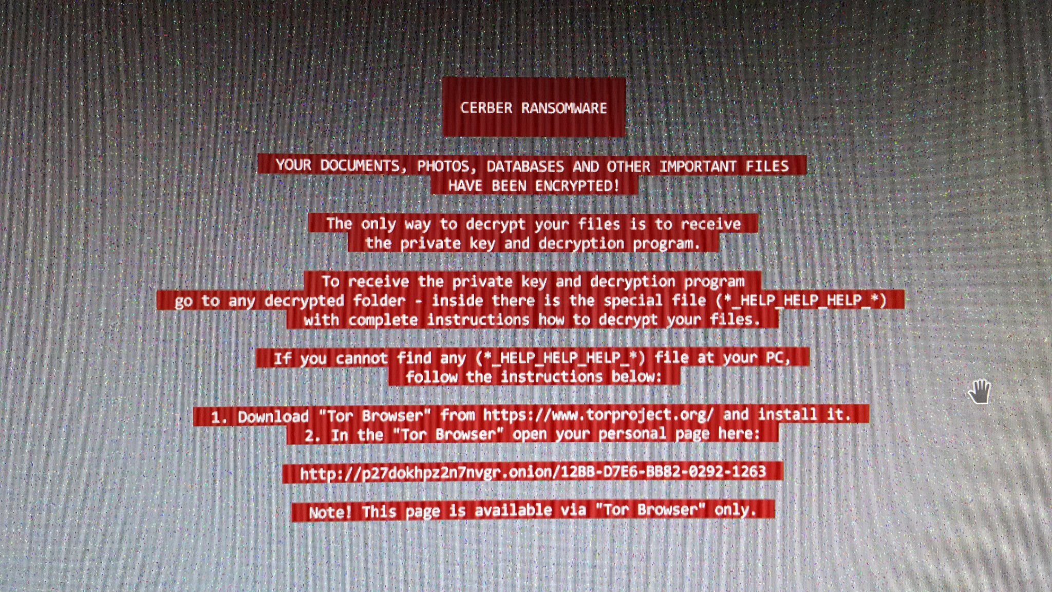 image.thumb.jpeg.037daf74a9818778a5656c24eb966cb9.jpeg