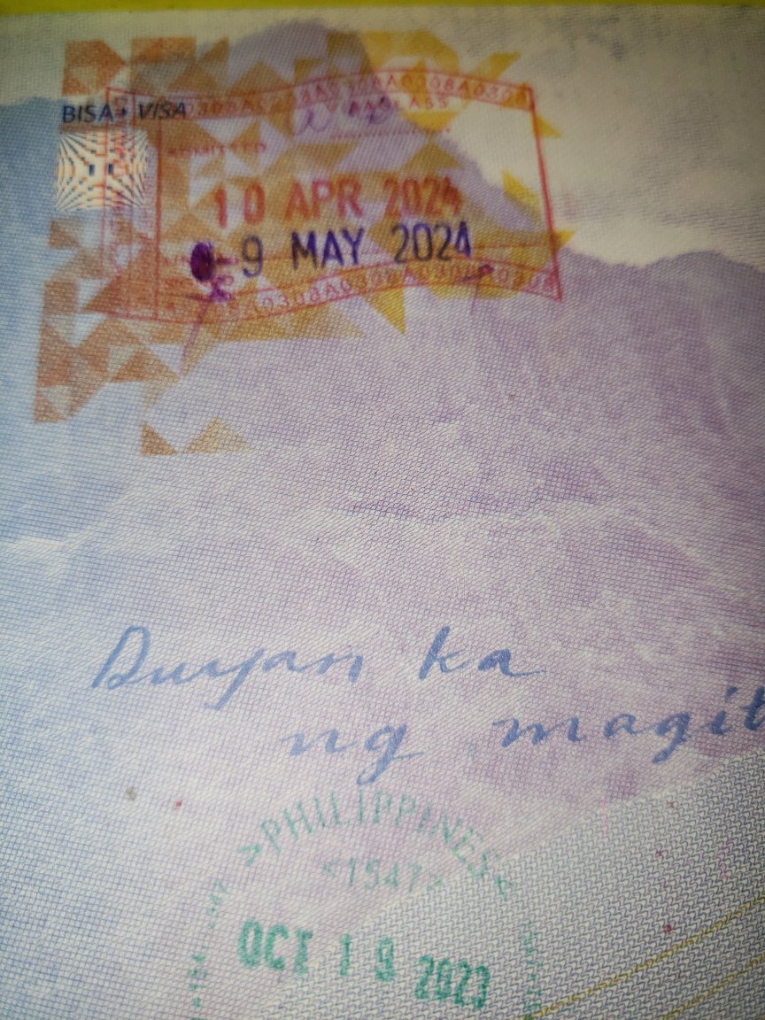 Visa stamp.jpg