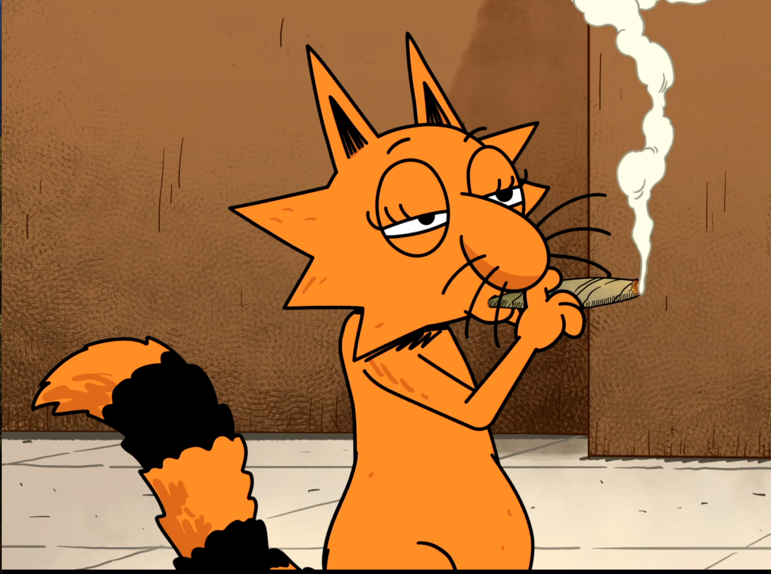 fff cool cat.png