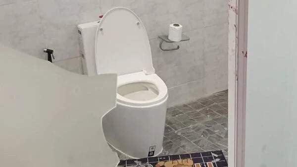 image.jpeg