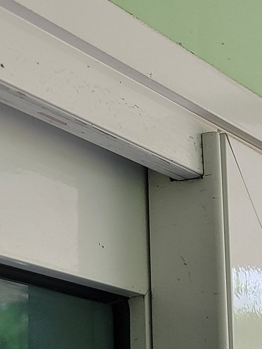 20240505_132653.thumb.jpg.d56045275d67997c1a1b96d81dd9009a.jpg