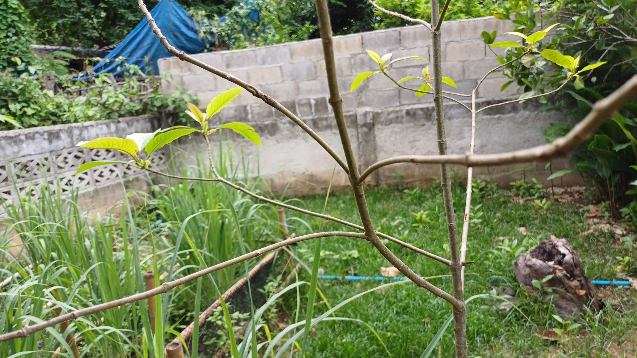 20240526_130106.jpg