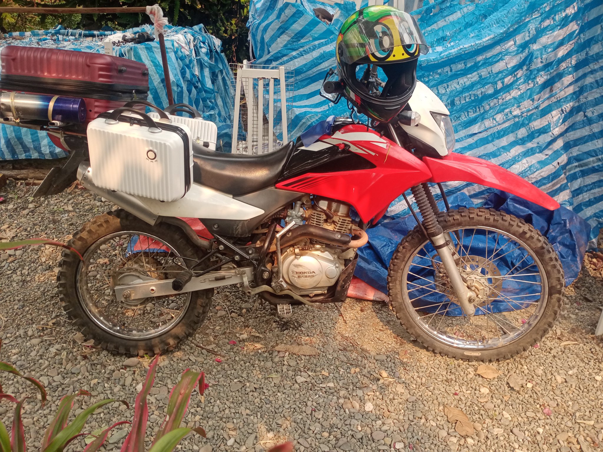BIKE1.thumb.jpg.76f68bb787d6b3a064db7c0276d4a590.jpg