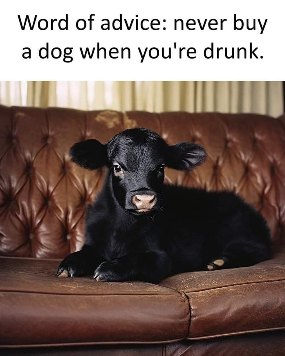 FB_IMG_1715918098368.jpg