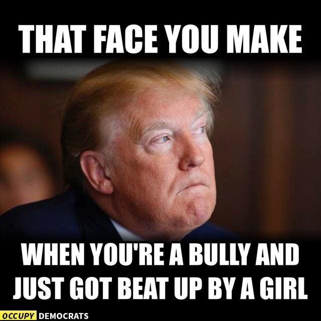 trump-bully-beat-girl-57e9fe605f9b586c354819e7.jpg.e180b66191d3d68b05fbbc1835a8bfe4.jpg