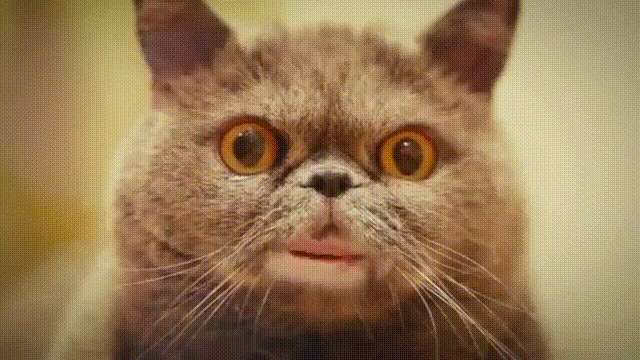 giphy(2).gif.336d30bc67f8b99b52db5a5c104e5f40.gif