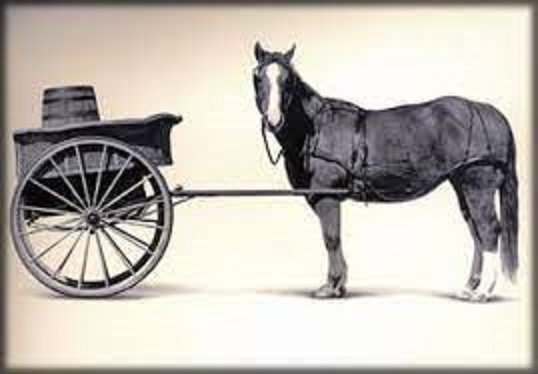 horsebeforecart.jpg.9557640f22753f001c930776fdf646b4.jpg