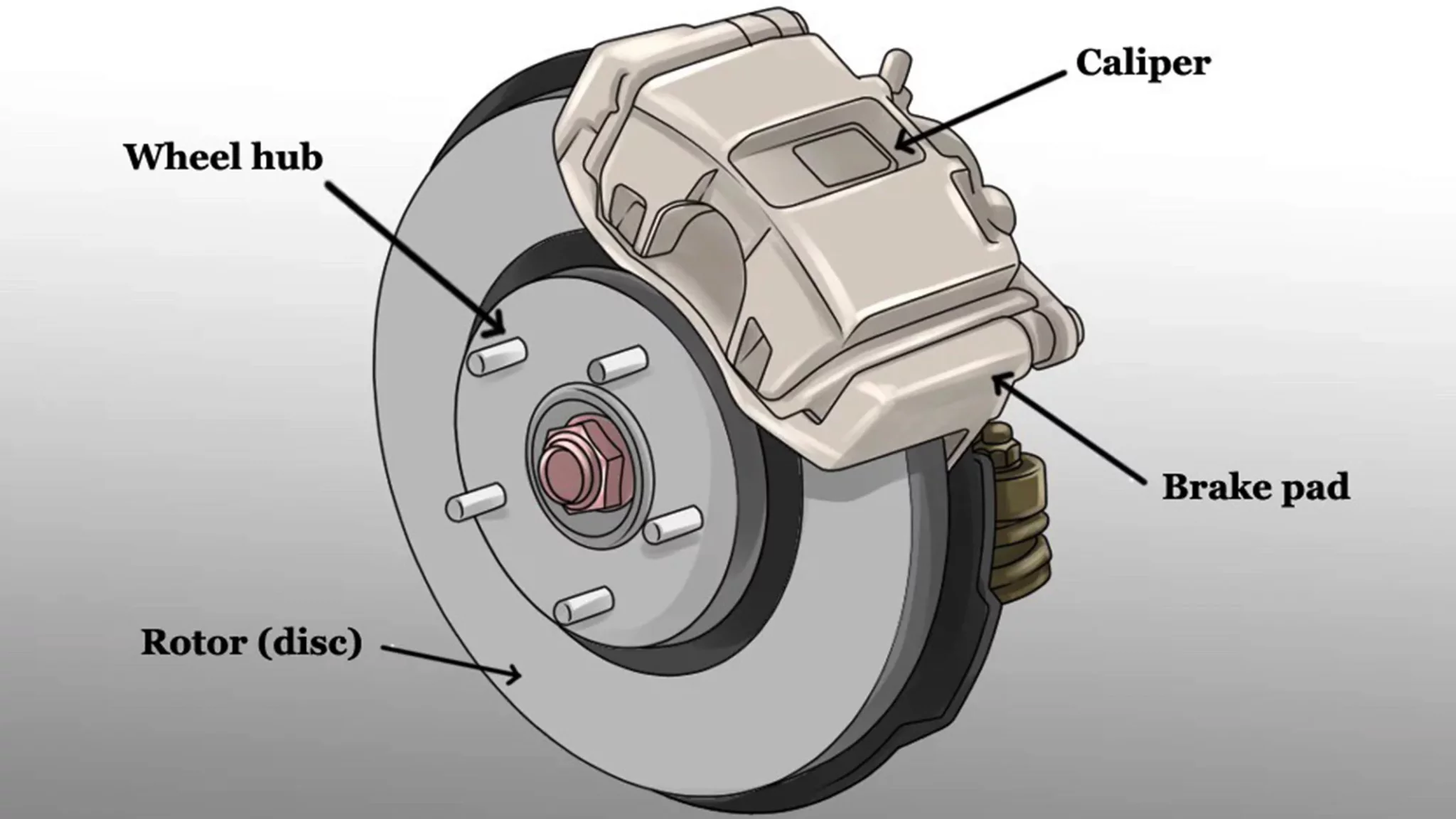 wheel-bearings-6.thumb.webp.4d559c8dcbd036d2b1acc37bf839386f.webp