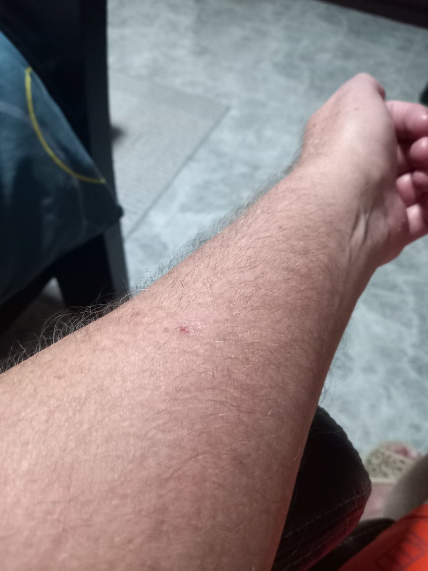 20240917_231846.thumb.jpg.afb403ab8f51a99a5589234c47f4c4a5.jpg