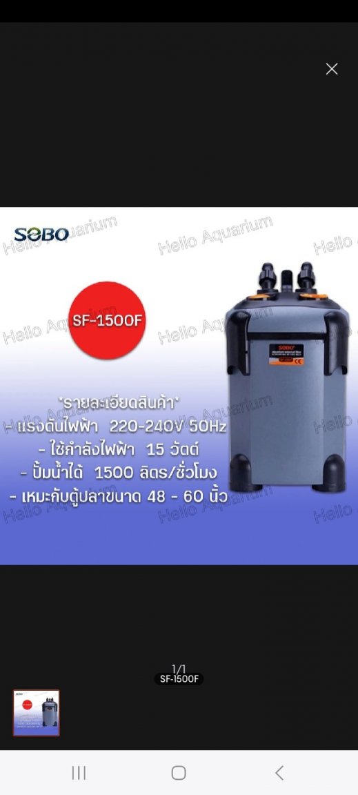 Screenshot_20240811_190720_Lazada.jpg