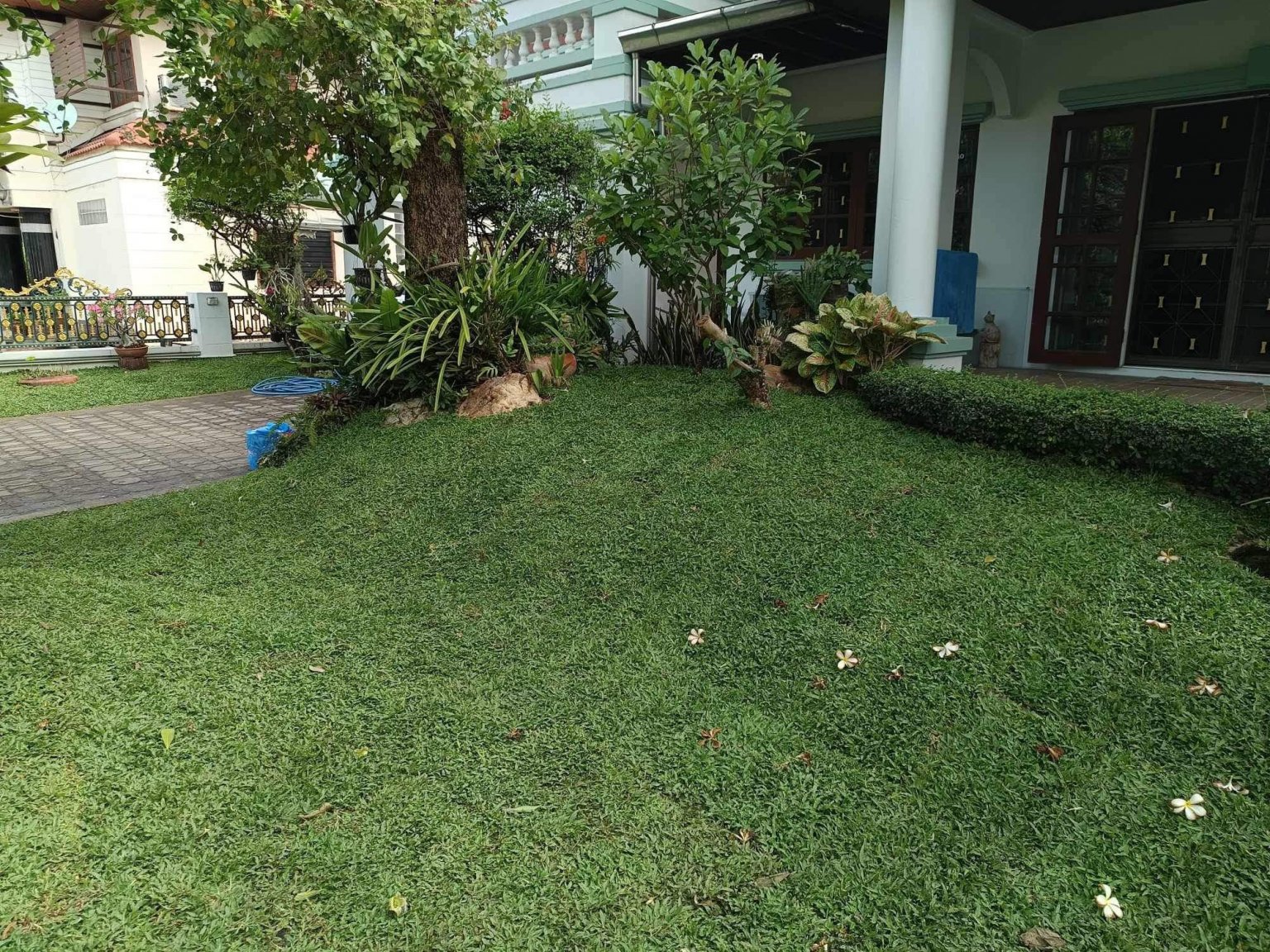 front yard.jpg