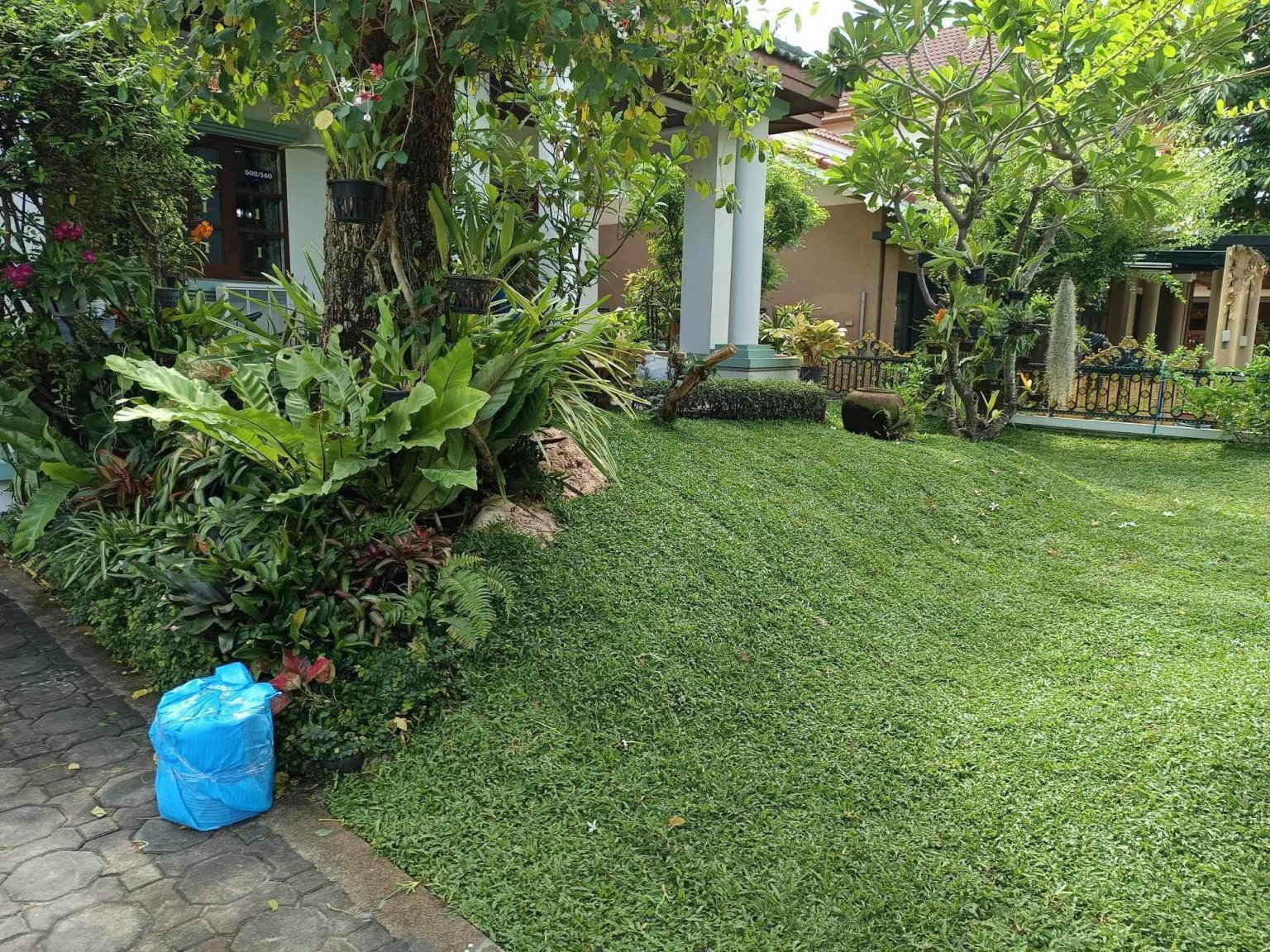 front yard with hill.jpg