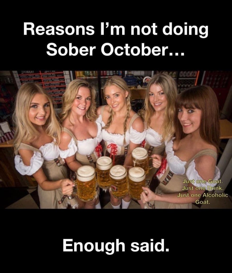 image.thumb.jpeg.1f3da6a85b43d268c338492fae62f108.jpeg