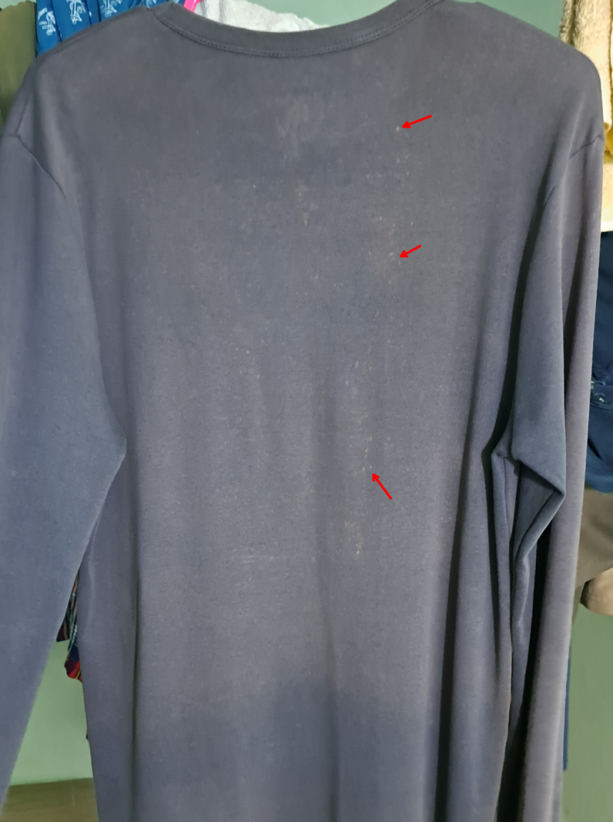 image.thumb.png.85e8d133ec6802320468df83a6ca7431.png