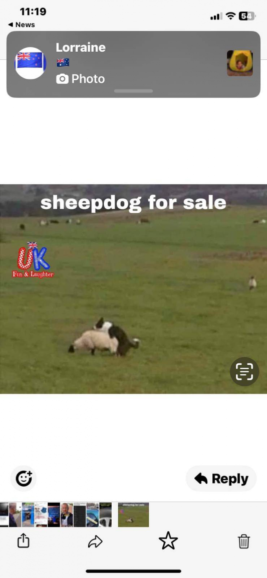 image.thumb.png.d83422935ac40dc2c9d328b87488cc53.png