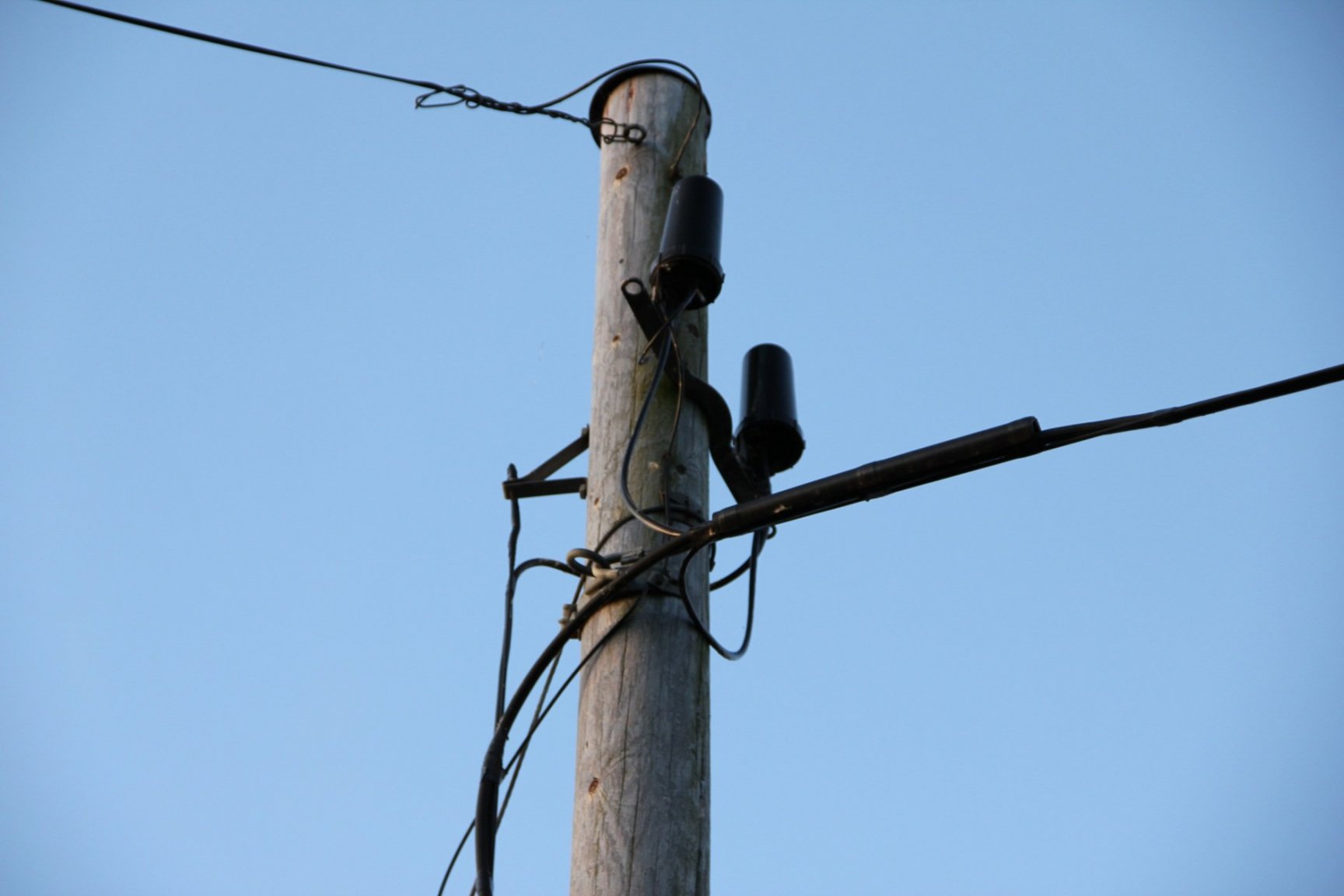 Telephone_pole.jpg
