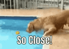 image.gif.19ea6b6e5279c3fb617dd02ea974d908.gif