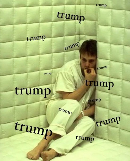 trumppaddedwalls.jpg.eceb26322bd94f52b8ee6c02bfb268d8.jpg