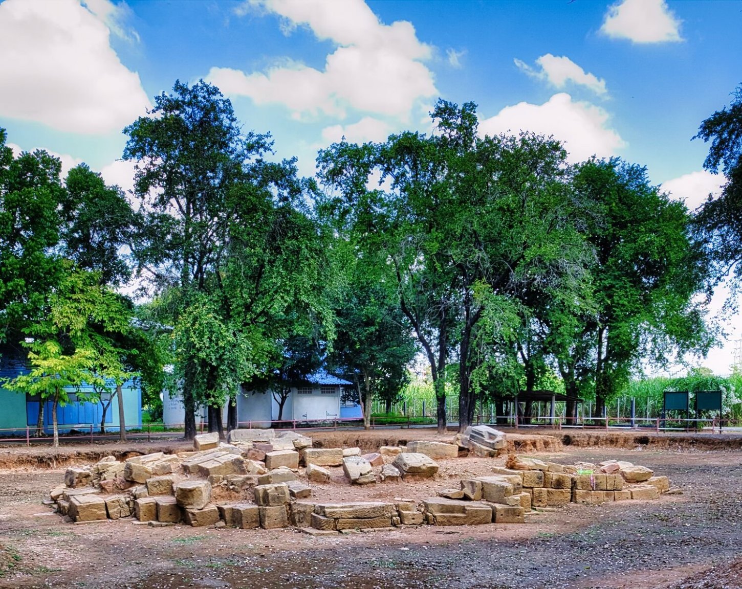 DSCF8111.jpg