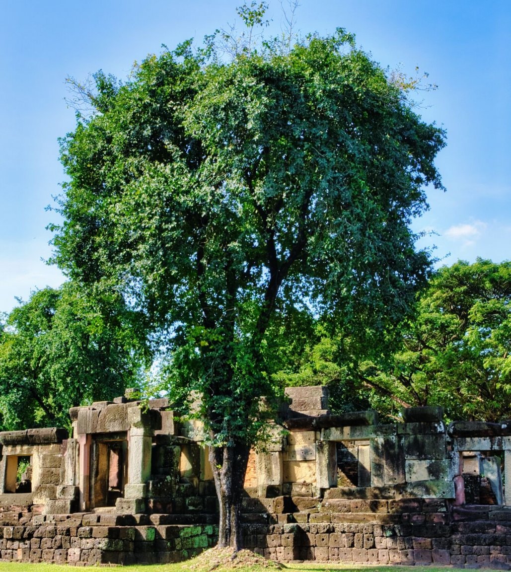 DSCF8119.jpg