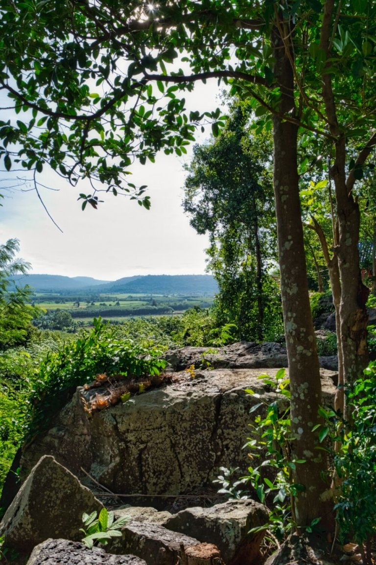 DSCF8150.jpg