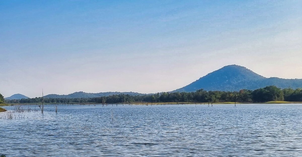 20241207_090057 (1).jpg