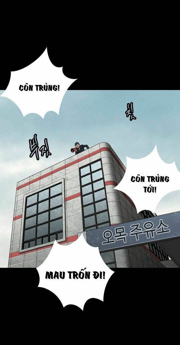 thảm họa ong độc chapter 81 - Trang 2