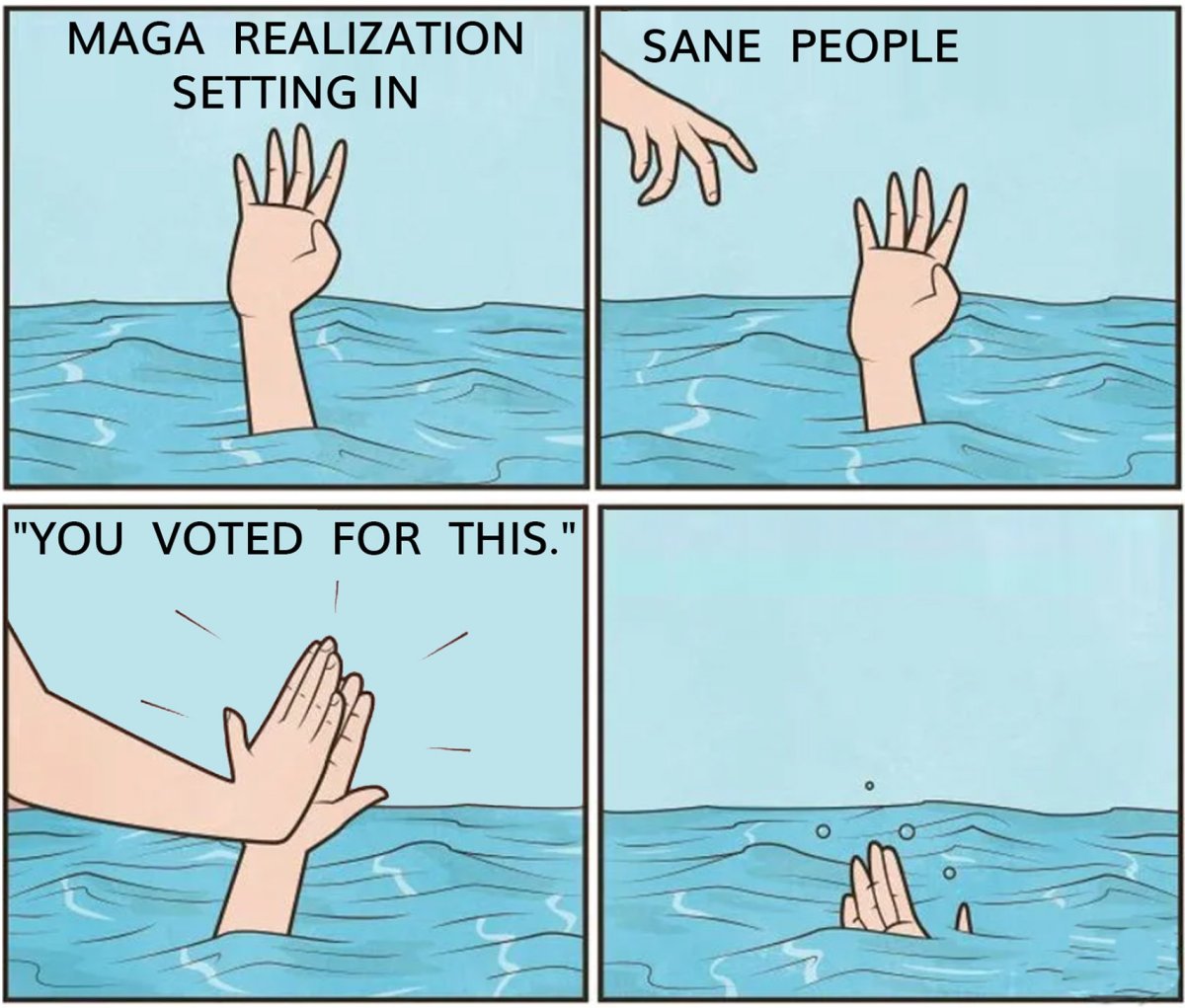 MAGA you voted for this.jpg