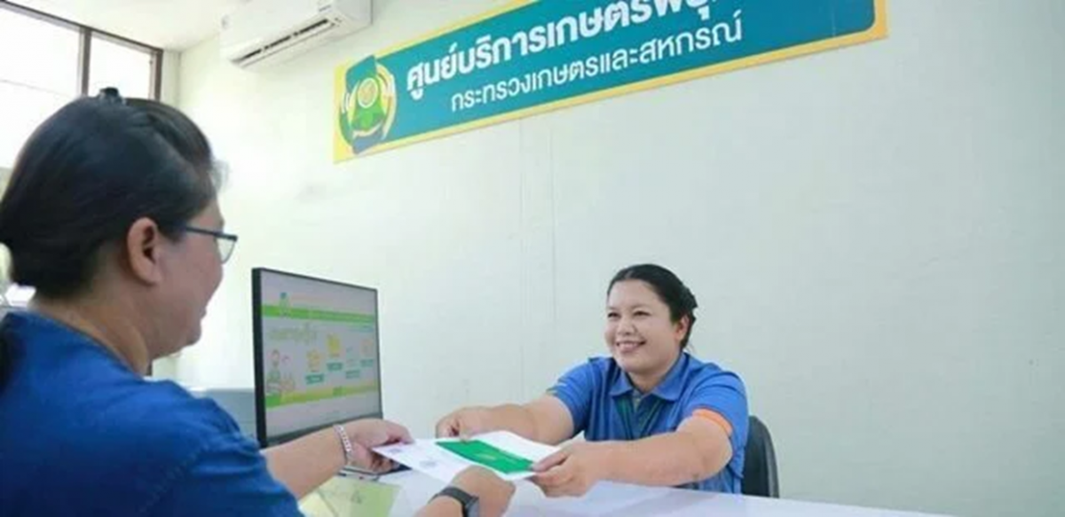 Thai-farmers-e1733898407315.png