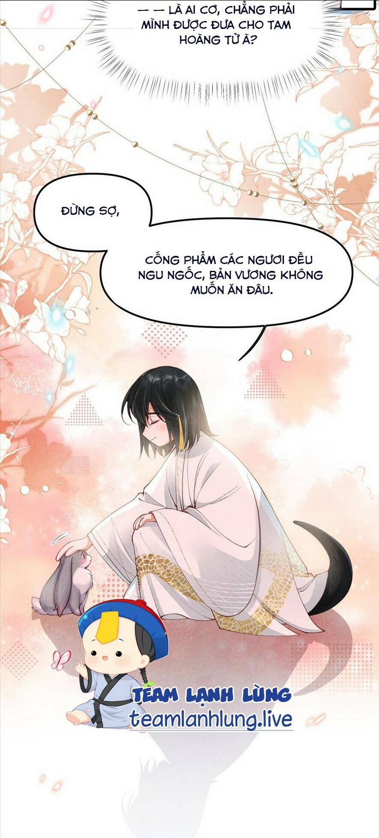 cách để tồn tại như một cống phẩm chapter 2 - Next chapter 3