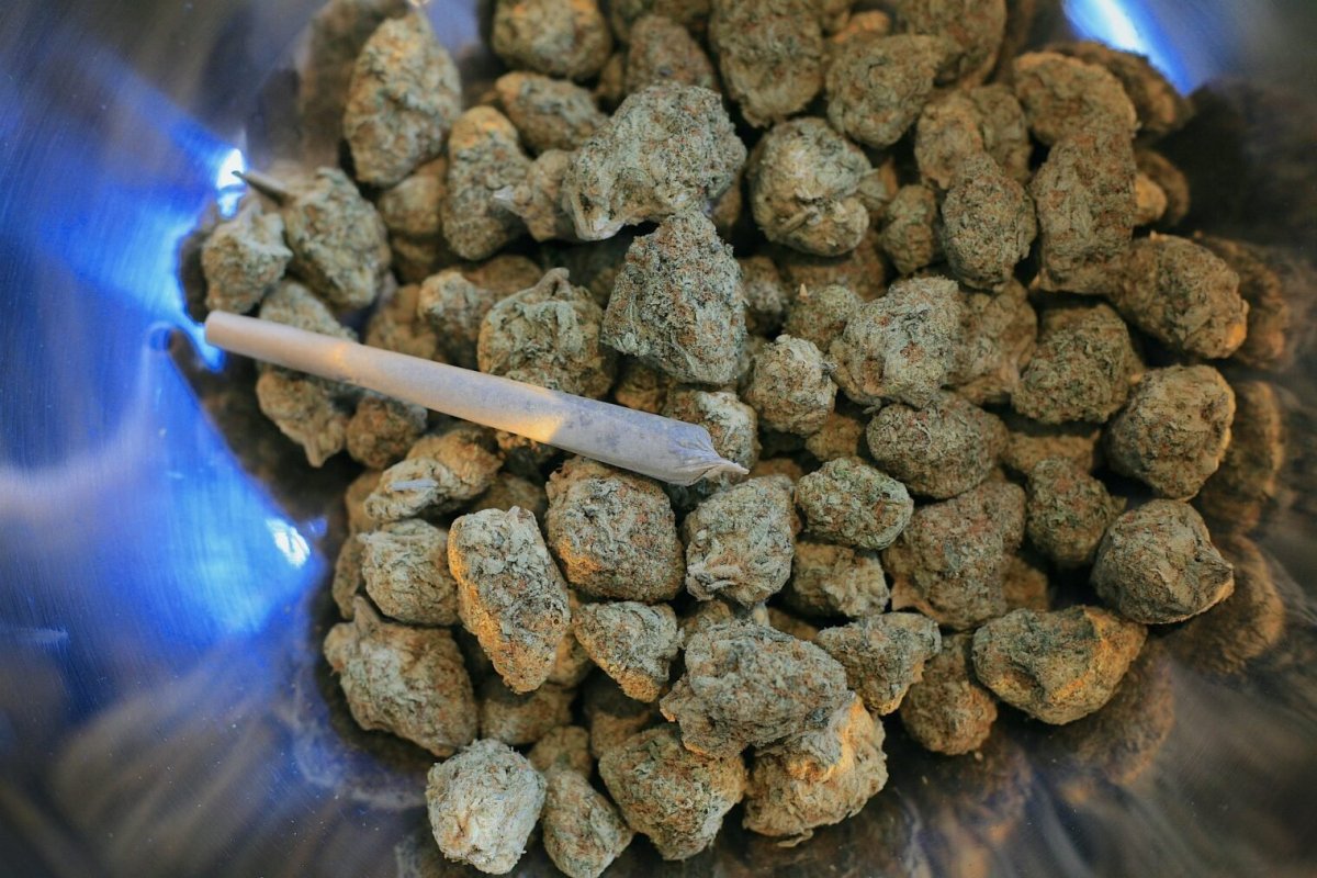 cannabis-7516370_1920-e1707974560849.jpg