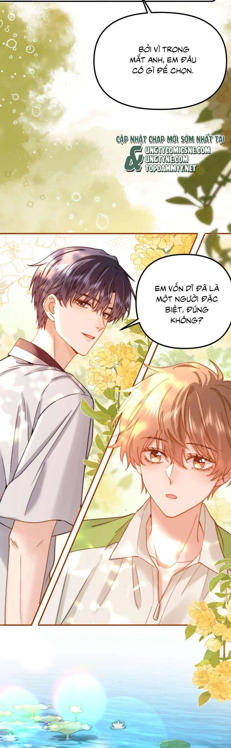 chất dị ứng đáng yêu Chapter 76 - Next 