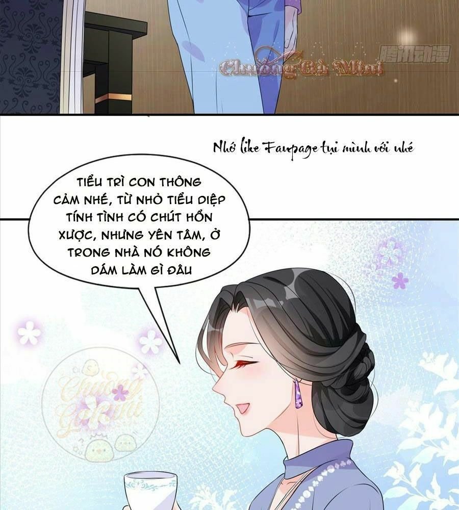 cố tổng, vợ của ngài quá mạnh rồi! Chapter 4 - Next Chapter 5