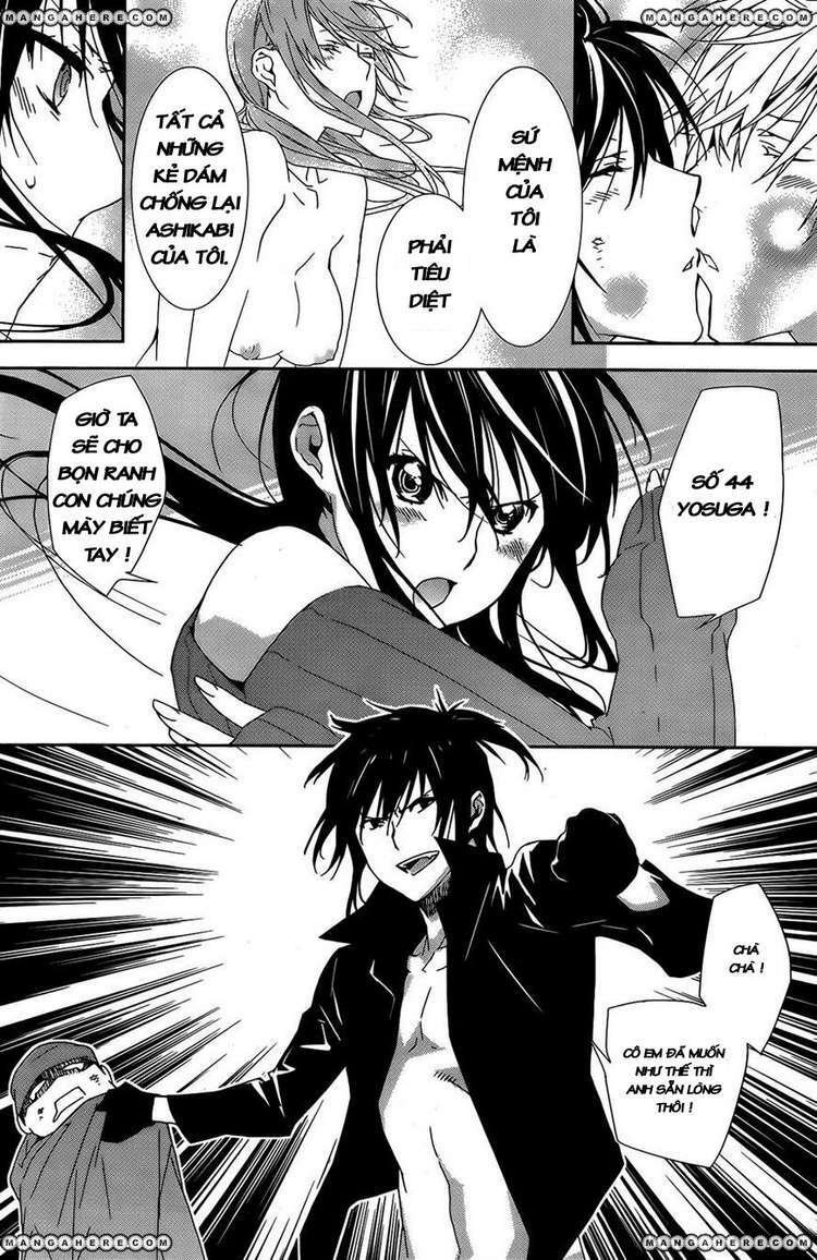 Sekirei Chapter 130 - Trang 1